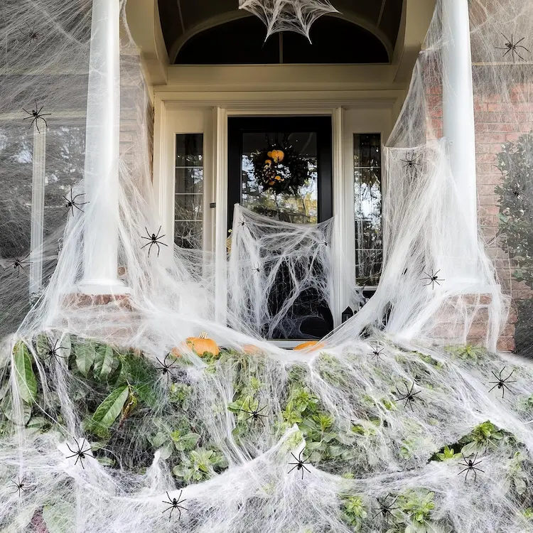 ZPISF 1000 sqft Spider Web