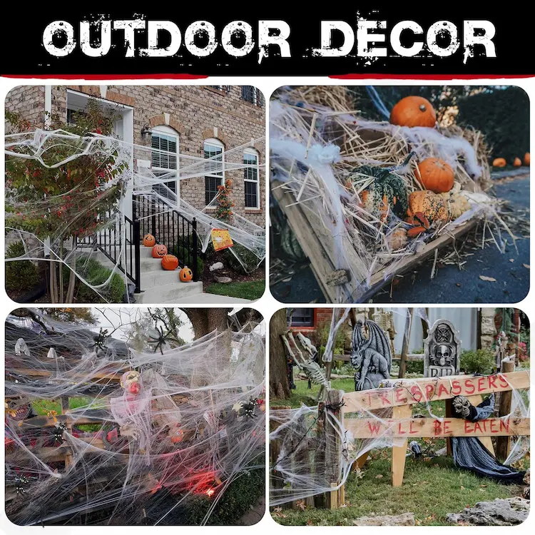 ZPISF 1000 sqft Spider Web