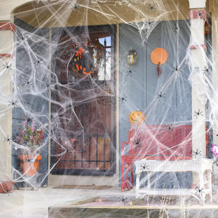 ZPISF 1000 sqft Spider Web