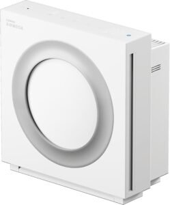 Coway Airmega Mighty2